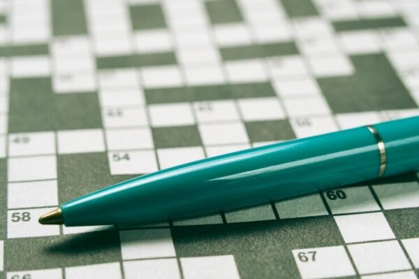 bumped things nyt crossword